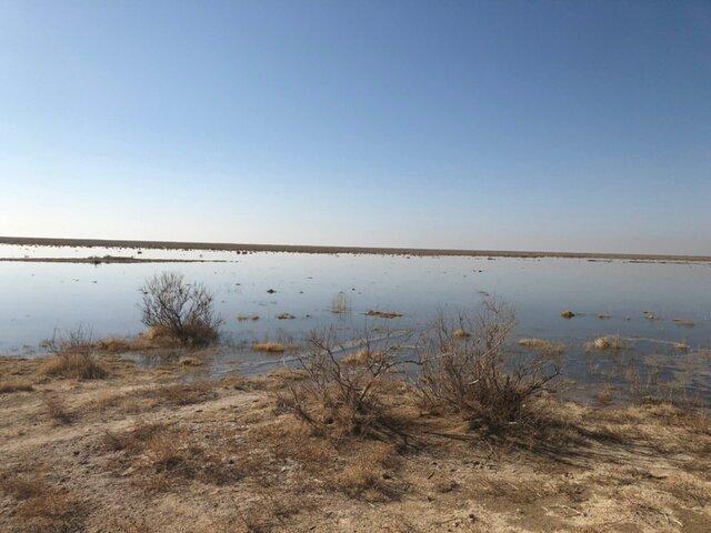 آبگیری 6000 هکتار از تالاب بند علیخان در زمستان امسال آبگیری 6000 هکتار از تالاب بند علیخان در زمستان سال جاری
