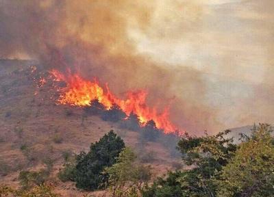 خسارت آتش سوزی در جنگل های ارسباران 100 هکتار تخمین زده شد