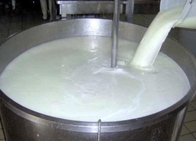 نرخ جدید شیر خام هنوز ابلاغ نشده ، گاوداران: چاره ای جز افزایش قیمت نداریم