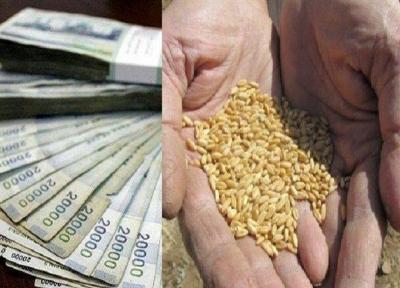 قیمت 2200 تومانی خرید تضمینی گندم باید بازنگری شود