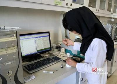 142 هسته فناور در مراکز رشد و پارک علم و فناوری بوشهر مستقر هستند خبرنگاران