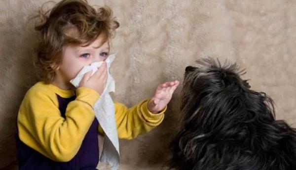 دلیل حساسیت به حیوانات خانگی چیست و چه درمانی دارد؟