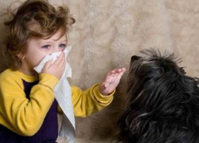 دلیل حساسیت به حیوانات خانگی چیست و چه درمانی دارد؟