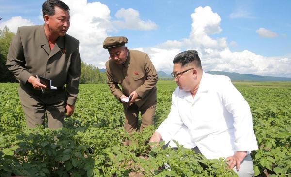 درخواست کره شمالی از مردم برای فراوری کود از مدفوع خود!