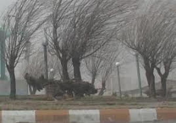 وزش باد شدید در نیمه غربی و جنوبی تهران، آلودگی هوا از فردا