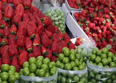 گران ترین و مقرون به صرفه ترین میوه بازار کدام ها هستند؟